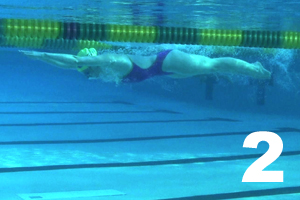 Common Breaststroke Mistakes: Part One - Swimming World News