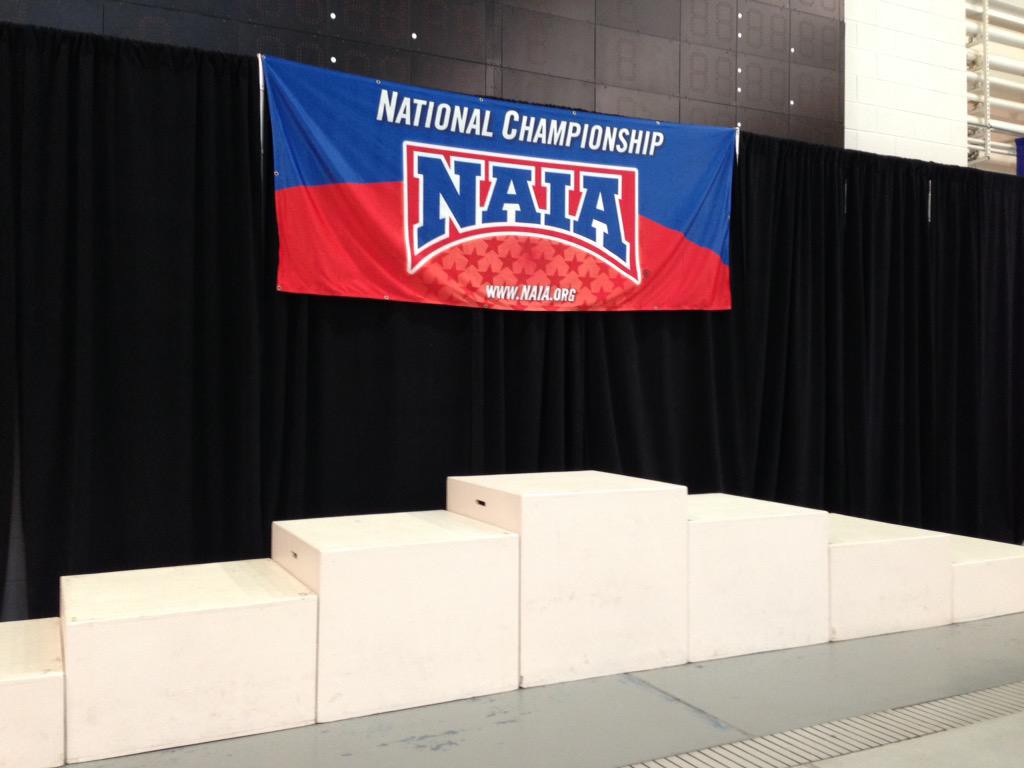 naia-banner-2015