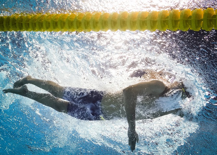 Admiring Swimmer Muscles by Stroke