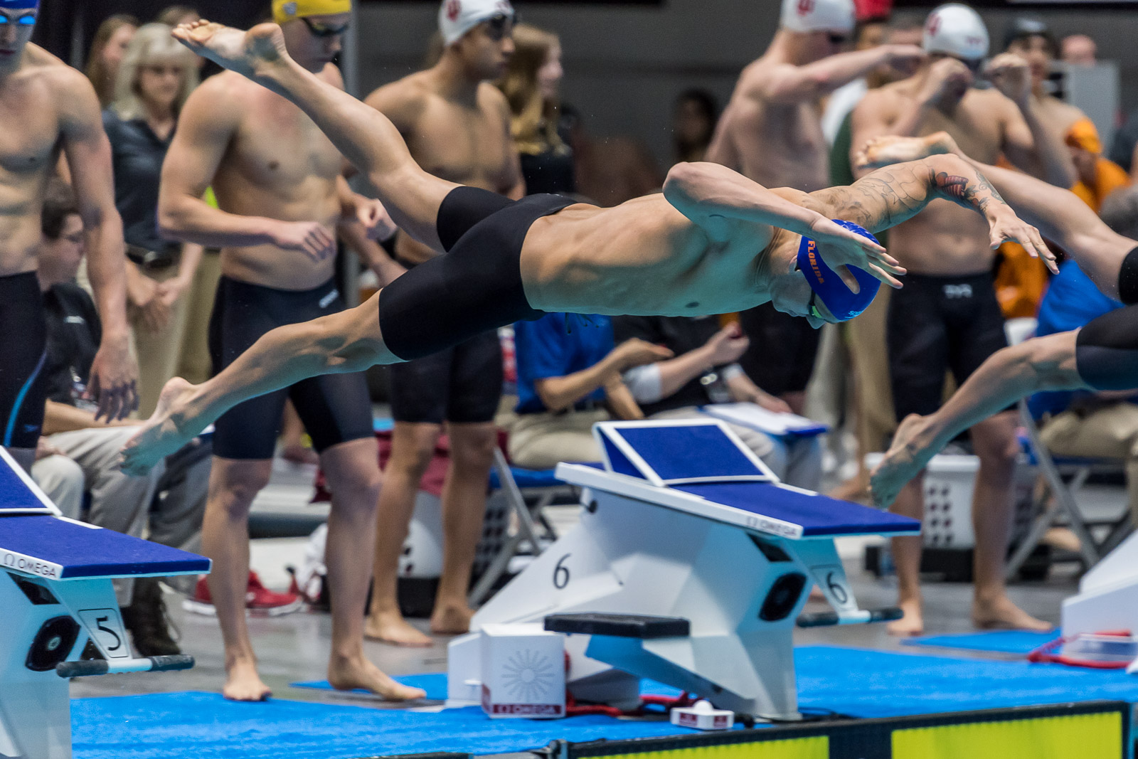 Caeleb Dressel Dive