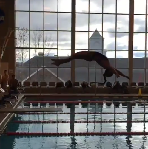 Hartwick Diving